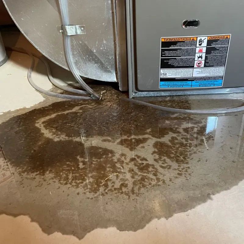 Pipe Burst and Leak Restoration in Dupont, PA