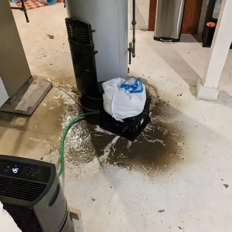 Sewage Backup Cleanup Service in Dupont, PA
